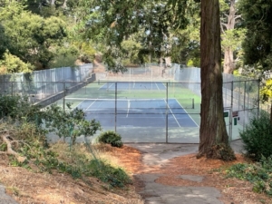 Play Pickleball at Beacon Hill Playground Tennis Courts: Court Information